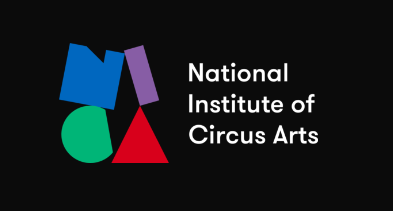 Become a Qualified Professional Circus Artist